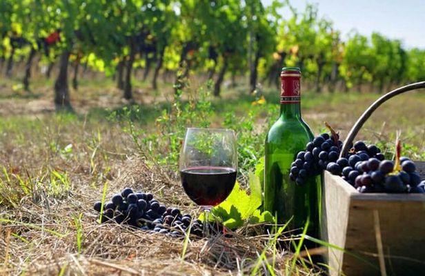 Private wine tour to Khor Virap, Areni winery, Noravank
