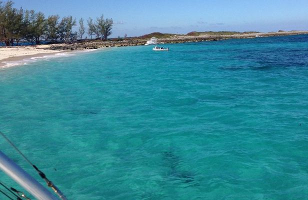 Half Day Snorkeling Tour in the Bahamas