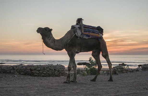 Essaouira Small Peaceful Romantic and Traditional Town