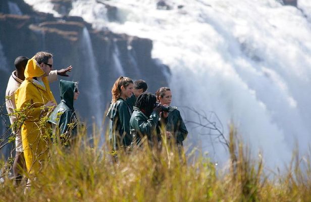 Private Guided Tour of the Falls with Pickup