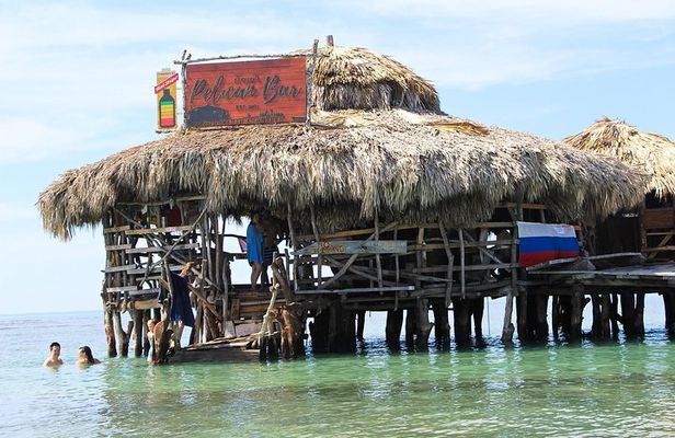 YS Falls, Black River Safari, and Floyd's Pelican Bar Day-Trip (Transportation)