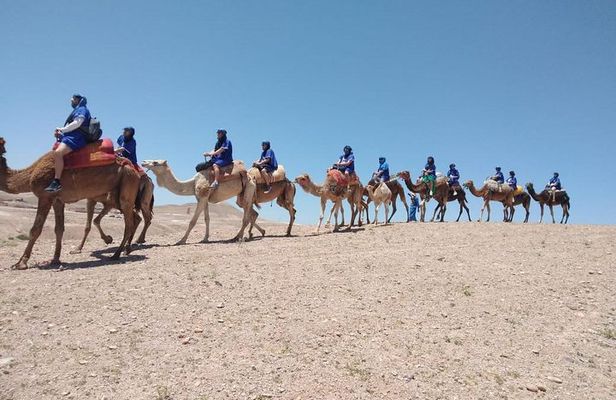 Private Camel Ride in Agafay desert