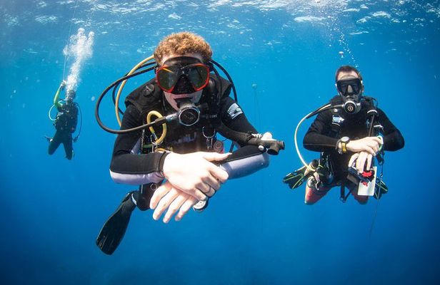 Kauai's Ultimate Discover Scuba Dive - OCEAN EXPERIENCE (1 Tank Dive)