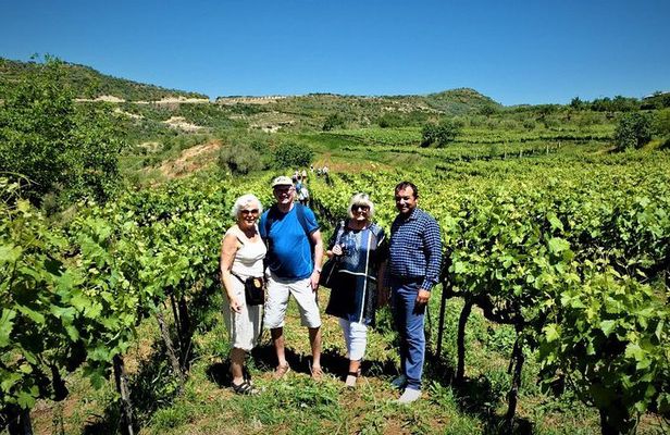 Winetasting tour in Alpeta winery - Roshnik village by 1001 Albanian Adventures