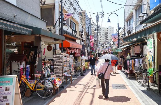 Yanaka Historical Walking Tour in Tokyo's Old Town