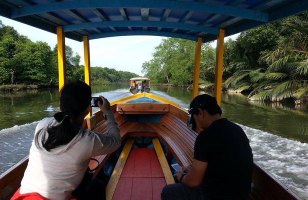Private Proboscis Monkey Tour