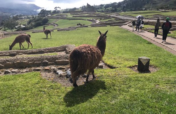 The Best of Ingapirca: an Adventure to the Ecuadorian Machu Picchu