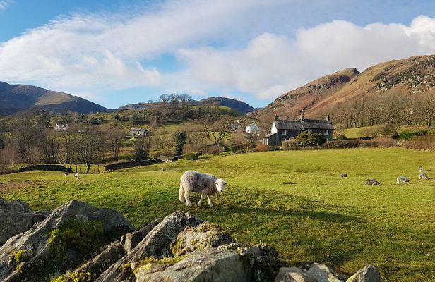 Lake District from Manchester Including Lake Cruise & Train