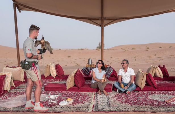Private Falconry Experience and Nature Desert Safari in Dubai