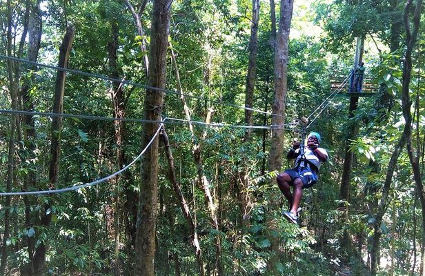 Canopy Zipline & Dunn's River Falls Adventure Tour from Runaway Bay
