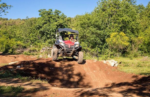 Self-drive Off Road Buggy
