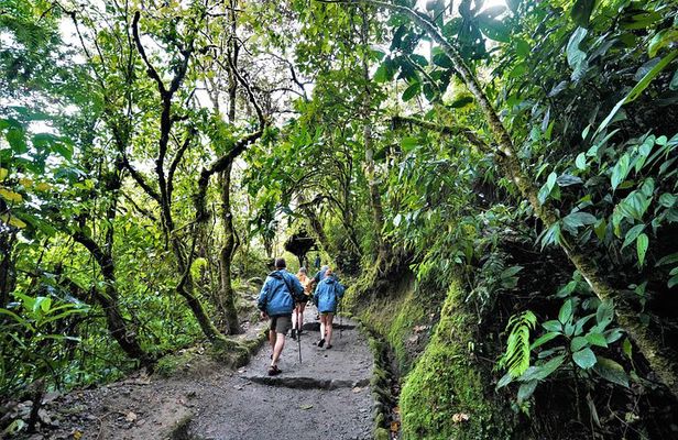 Private Day Tour to Mindo - Waterfalls & Hummingbirds
