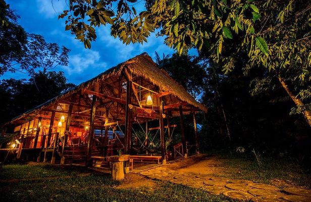 3-Day Tambopata Amazon Jungle Tour at Posada Amazonas