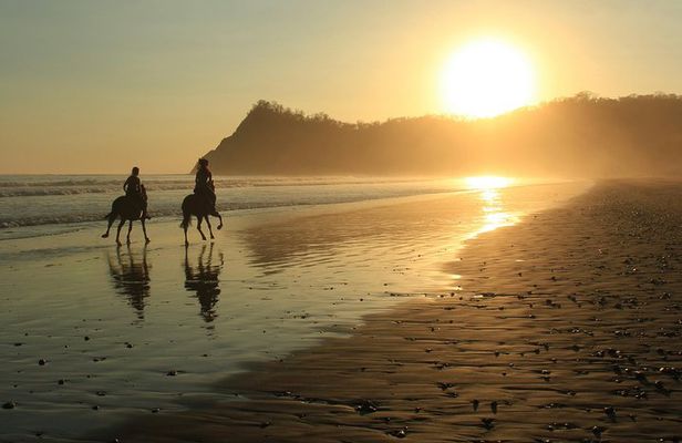 Safari & Buenavista Beach Horse Riding Tour