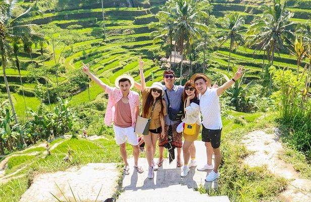 Ubud Tour - Monkey Forest, Temple, Waterfall, and Rice Terrace