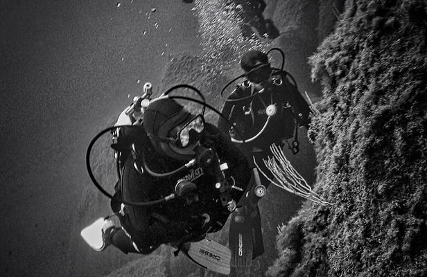 package of 2 single dives in the Capo Carbonara Marine Protected Area