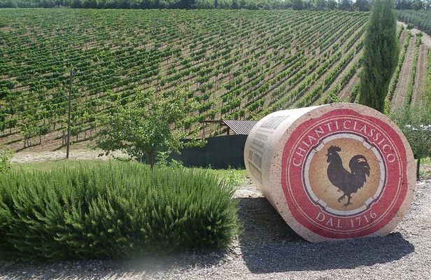 Essence of Chianti Small Group Tour with Lunch and Tastings from Florence