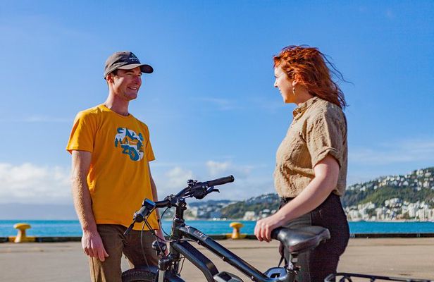 Easy Rider Two-Hour Wellington eBike Tour