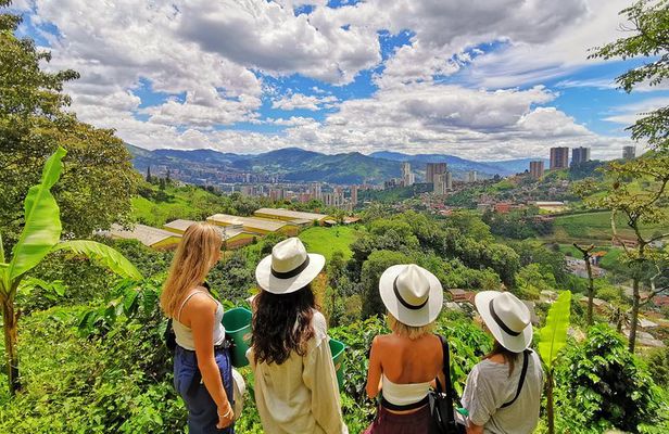 Private Coffee Farm Tour in Medellin: Real Authentic Experience