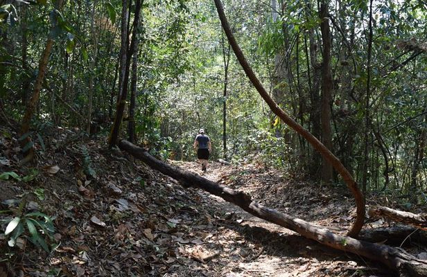 Half Day Doi Suthep Temple and short trekking on monk trail (Private Tour)