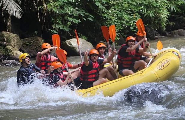 Rafting Swing Monkey Forest And Waterfall Tour All Inclusive