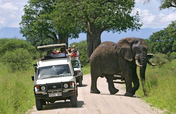 4 Days 3 nights Tanzania Classic Lodge Safari Tarangire, Lake Manyara,Ngorongoro