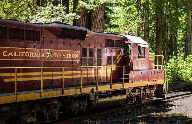 Skunk Train: Wolf Tree Turn from Willits