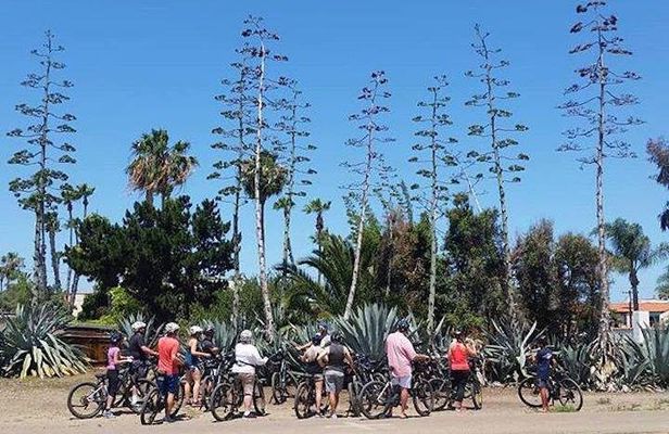 Electric Bike Tour of La Jolla and Pacific Beach