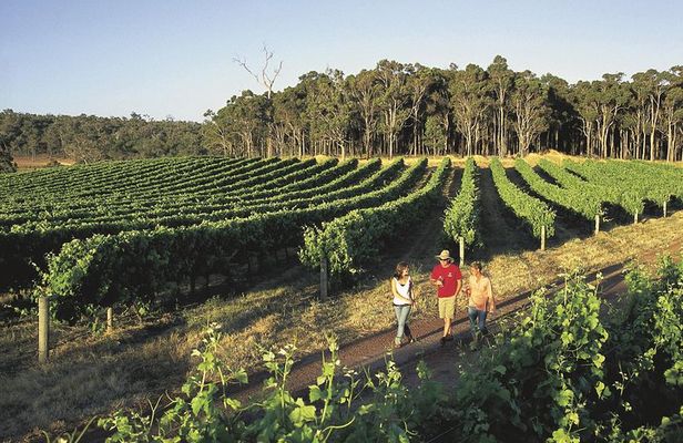Margaret River, Caves, Wine and Cape Leeuwin Lighthouse Tour from Perth