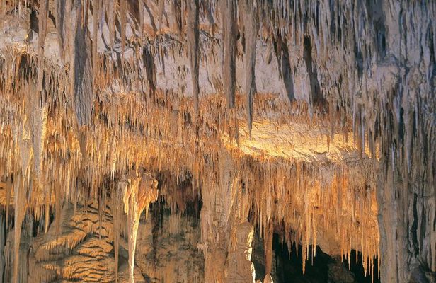 Margaret River, Caves, Wine and Cape Leeuwin Lighthouse Tour from Perth