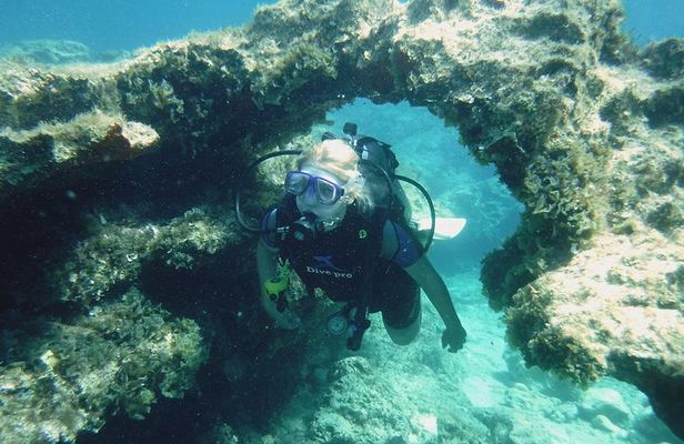 Local Guided Dives (for certified/licensed divers)