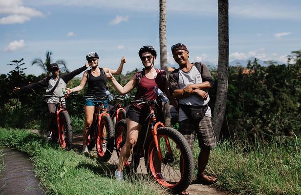 Private Fat Tire E-Bike Tour in Ubud