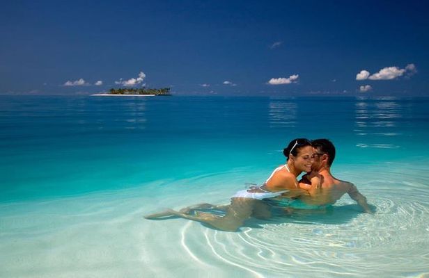 Contoy Caribbean Adventure! Round Transportation from Cancun