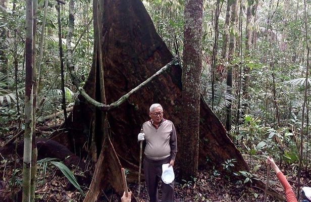 Half Day Tour- Jaguar Jungle Survival - Amazon Rainforest - From Manaus