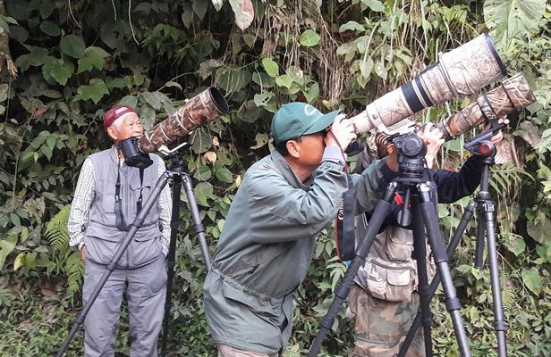 Birding Tour
