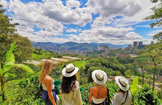 Coffee & Horses Private Tour in Medellin: A Fun & Authentic Day