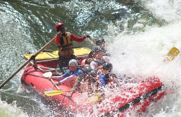 Victoria Falls: Whitewater Rafting + Chobe Safari Combo