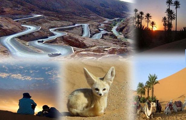 fes to marrakech desert tour 3 days