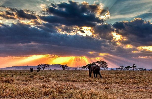 6 Days / 5 Nights Join group safari