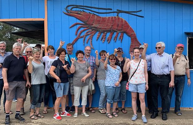 Oahu Island Highlights in Small Group | 30 Spots | ~10 Stops
