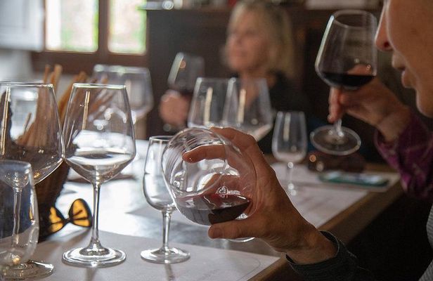 From Florence to Chianti Rufina: Wine Tasting Experience