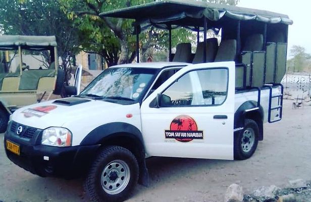 ETOSHA PARK SAFARI with local guides in 9-seater 4x4s