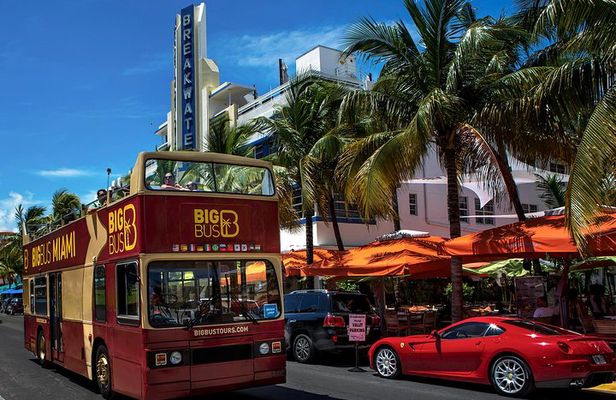 Big Bus Miami: Hop-on Hop-off Sightseeing Tour with Cruise Option