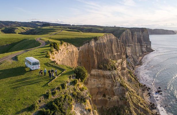 Private tour to Cape Kidnappers Gannet Colony