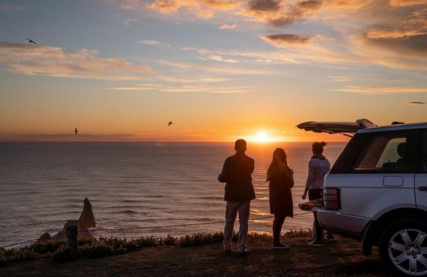 Exclusive SUNRISE tour to Cape Kidnappers