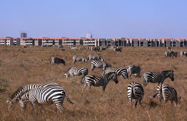 Nairobi National Park/ Giraffe Centre