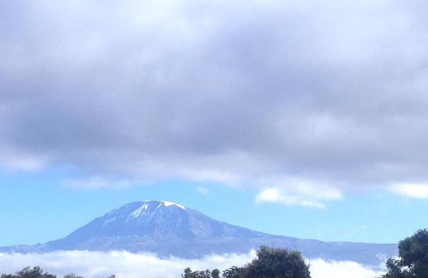 Climb Kilimanjaro 7 Days Machame Route