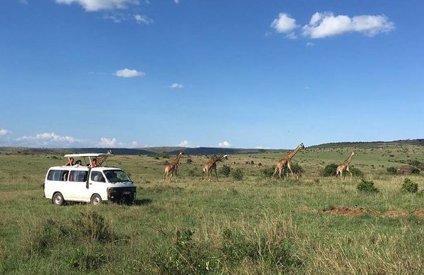 3 days Masai Mara