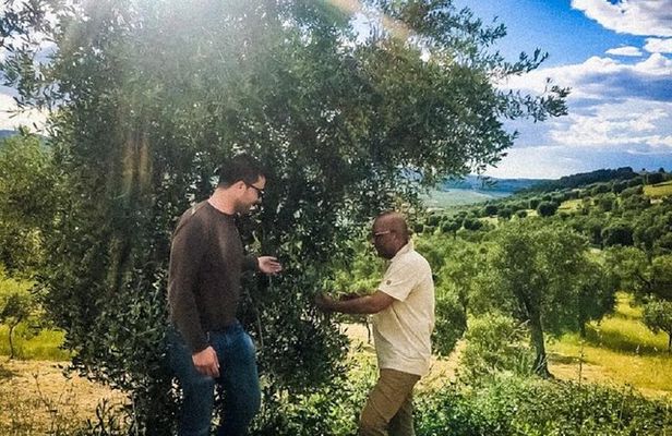 Discovering extra virgin olive oil