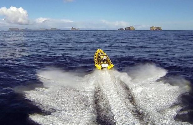 2 hour Round Trip in Vestmannaeyjar on a RIB Boat